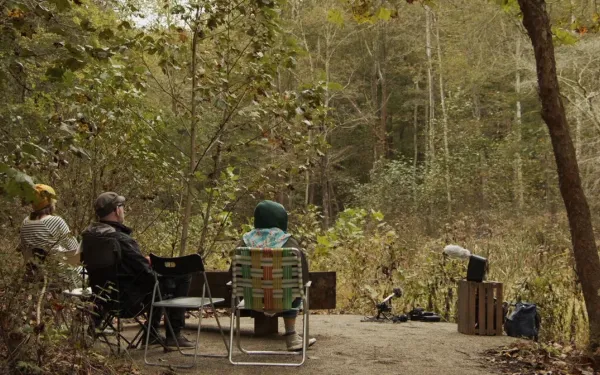 Small group of people sitting outdoors among trees