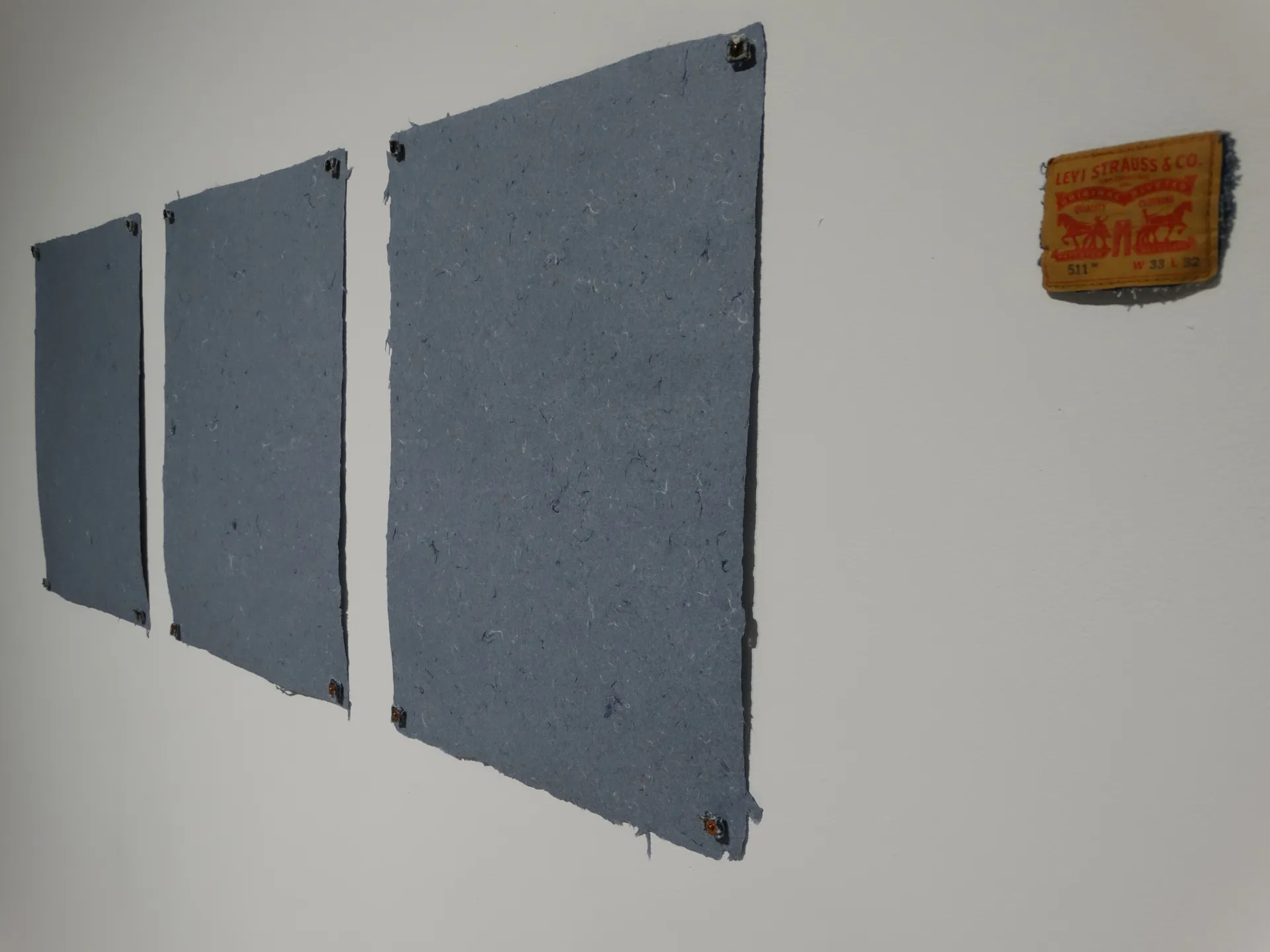 Photograph of exhibit mounted on wall
